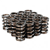 Skunk2 Pro Series Honda/Acura K-Series i-VTEC XP Valve Spring Set